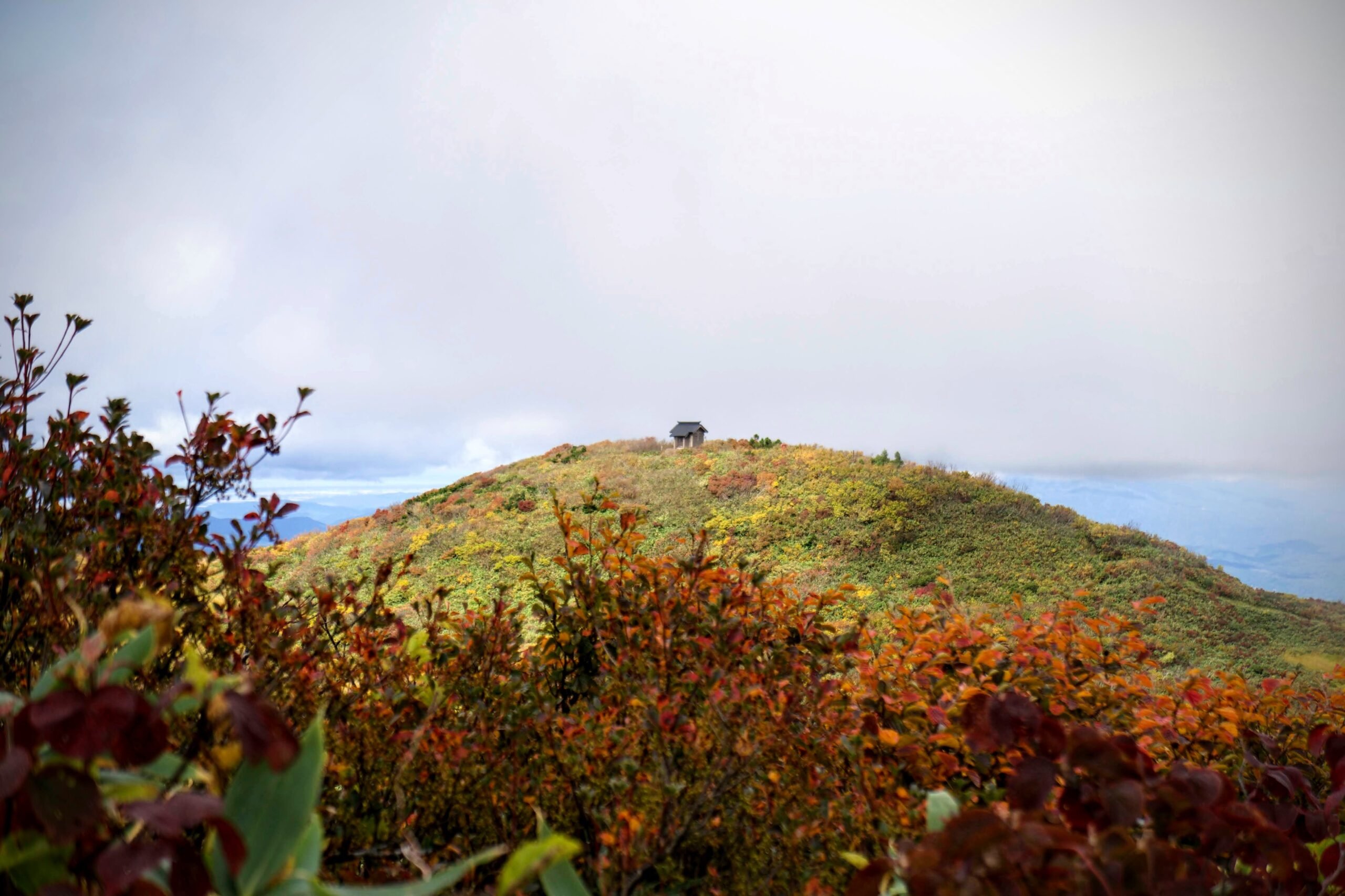 ⛰️ 산기슭 산(하야마) 이미지 6